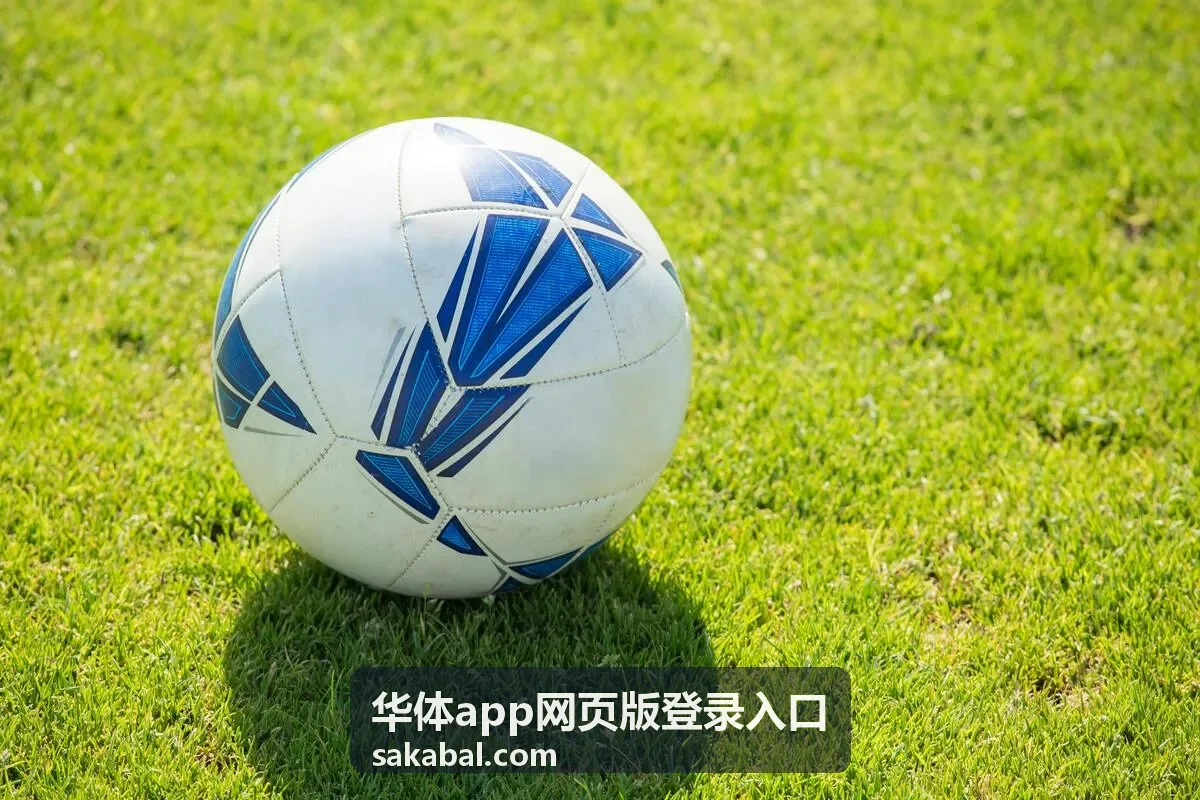 华体app网页版登录入口常见问题页面图示