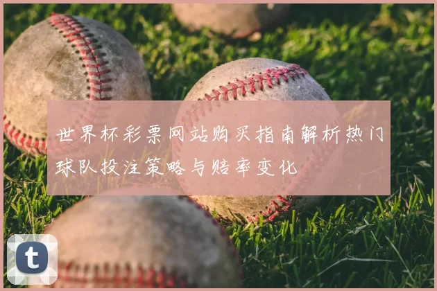 世界杯彩票网站购买指南解析热门球队投注策略与赔率变化