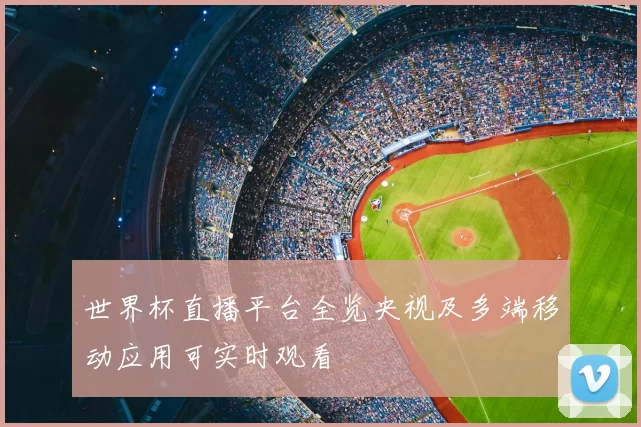 世界杯直播平台全览央视及多端移动应用可实时观看