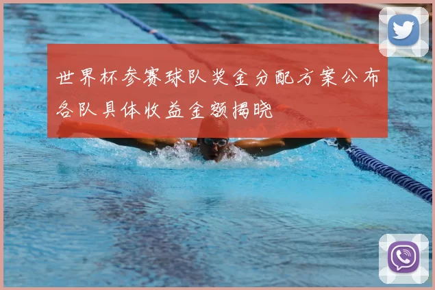 世界杯参赛球队奖金分配方案公布各队具体收益金额揭晓