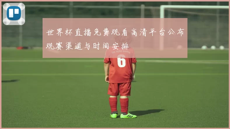 世界杯直播免费观看高清平台公布观赛渠道与时间安排