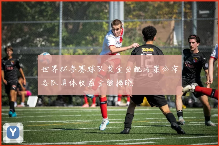 世界杯参赛球队奖金分配方案公布各队具体收益金额揭晓