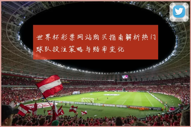 世界杯彩票网站购买指南解析热门球队投注策略与赔率变化