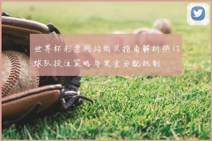 世界杯彩票网站购买指南解析热门球队投注策略与奖金分配机制