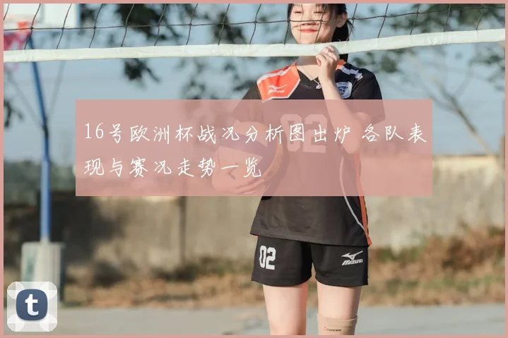 16号欧洲杯战况分析图出炉 各队表现与赛况走势一览