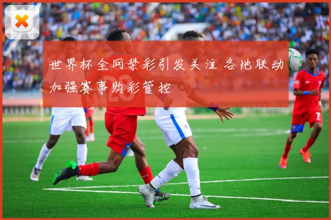 世界杯全网禁彩引发关注 各地联动加强赛事购彩管控