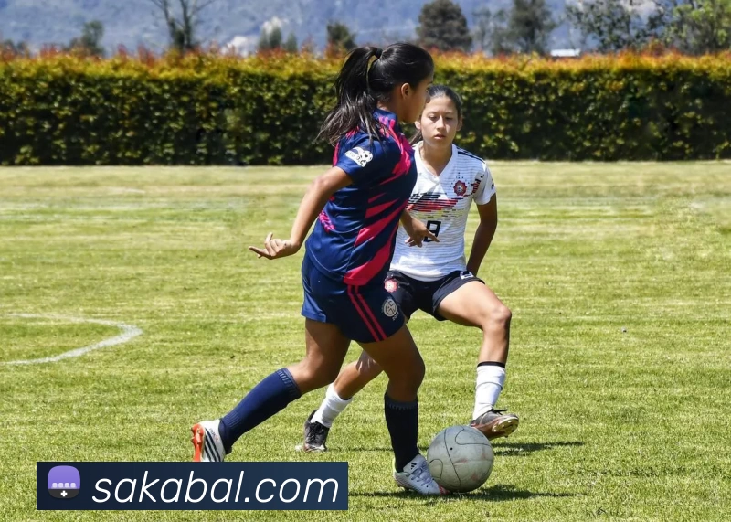 米兰app官方正版官网服务体系